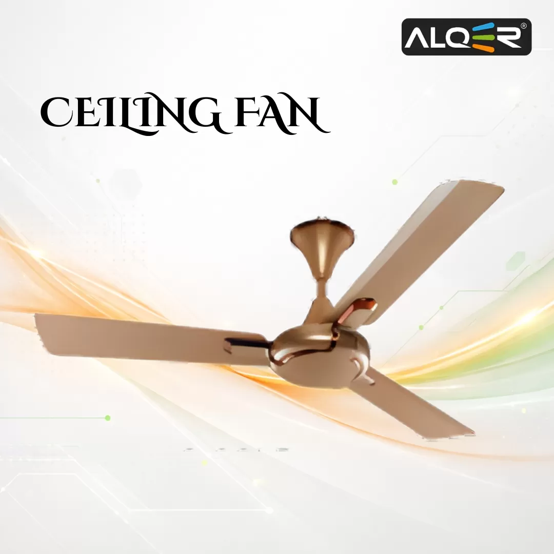 Ceiling fans