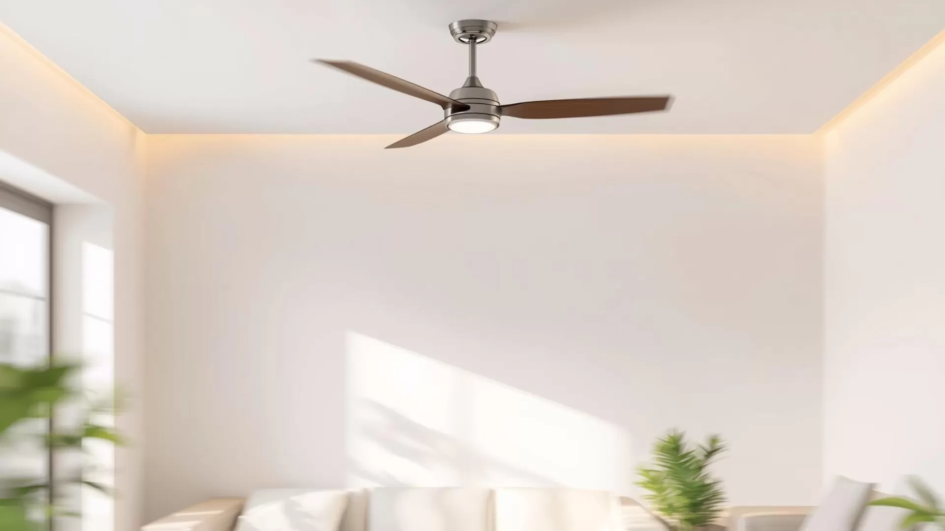 ceiling fan